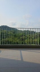The Skywoods (D23), Condominium #456304261